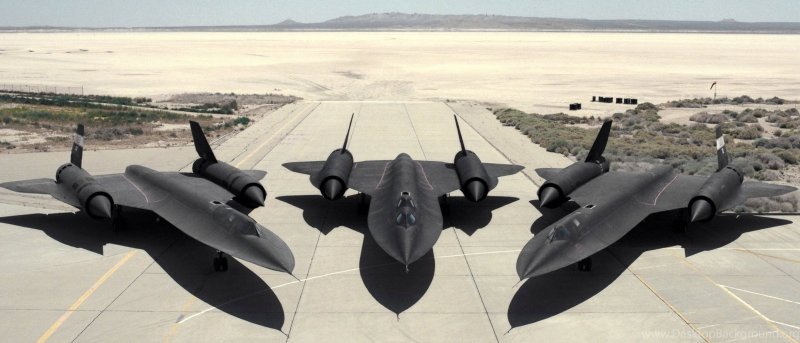 Птицы в пасмурном небе