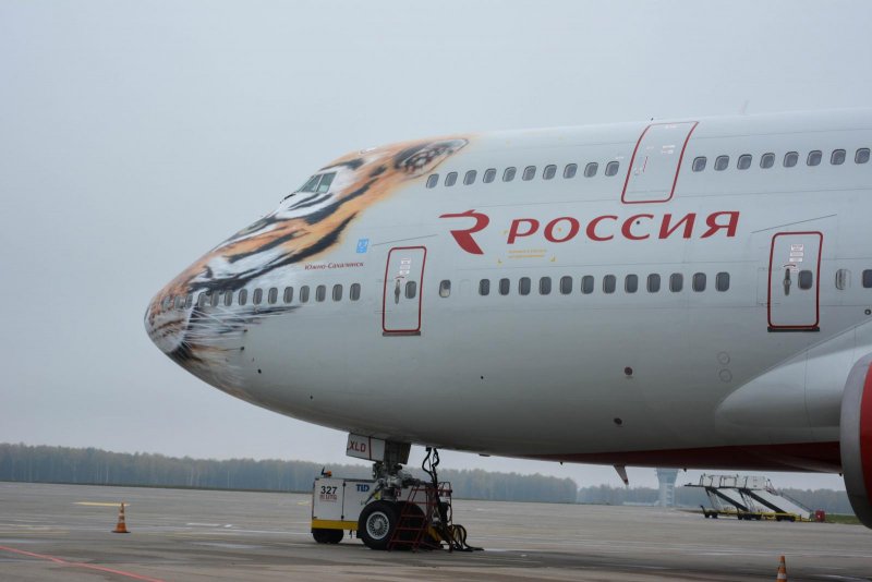 Boeing 737-800 Россия авиакомпания