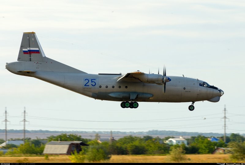 АН-12 серый волк