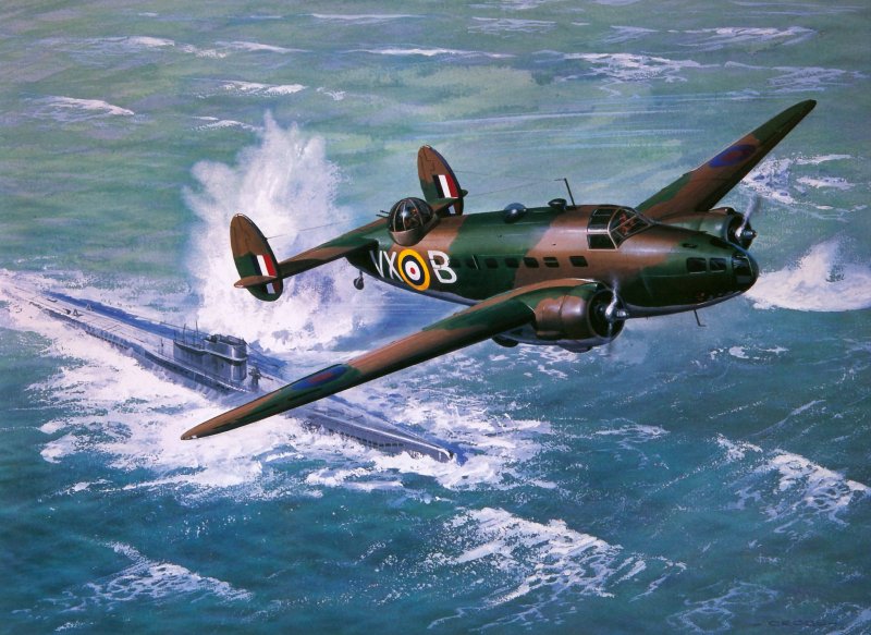 Двухмоторный бомбардировщик АМД Родина