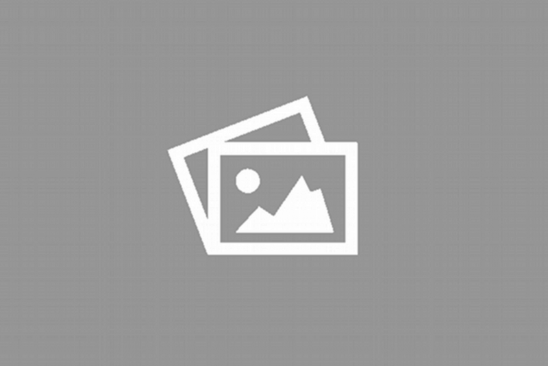 PZ Kpfw s35 739 f WOT Blitz