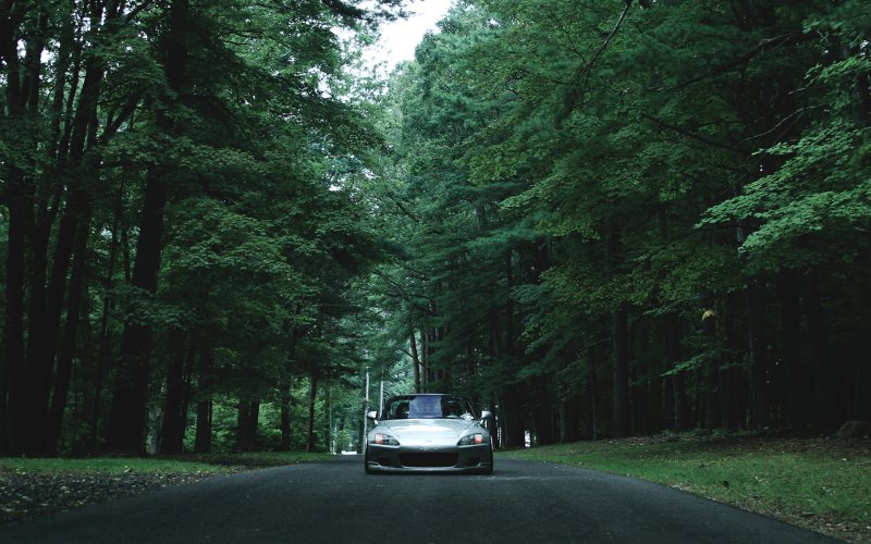 Машина на Лесной дороге