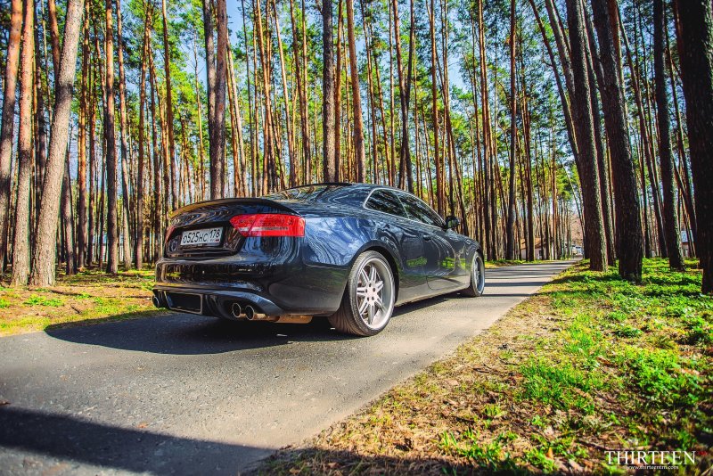 Машина около леса