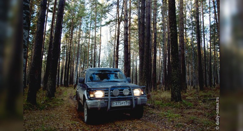 Уезжающая машина в лес