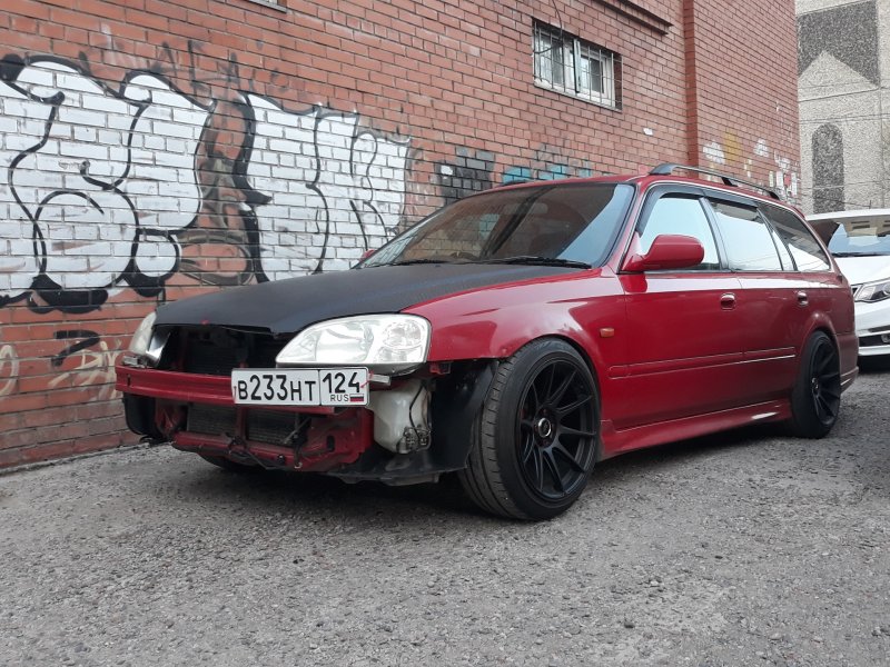 Орхия стенс