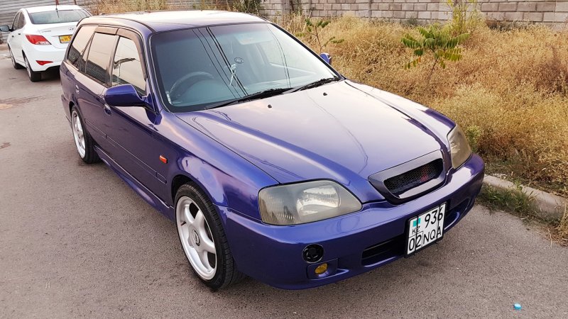 Хонда Орхия фиолетовая