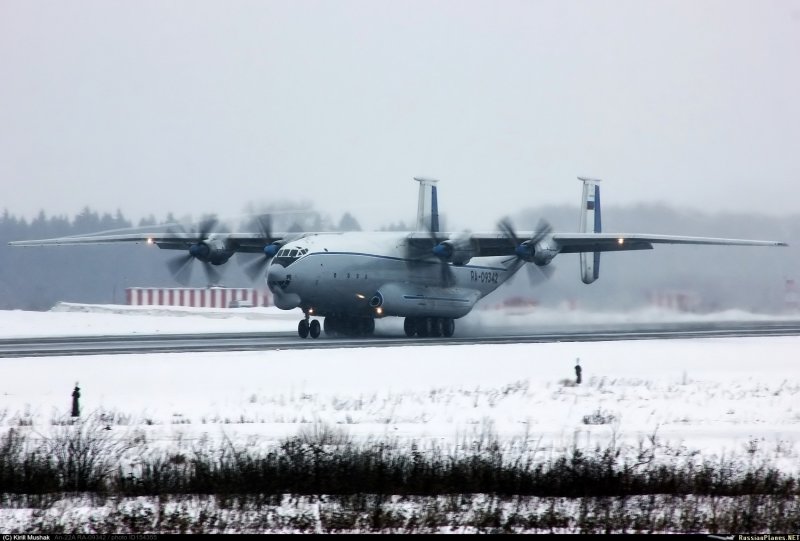 Ан124 альбинос