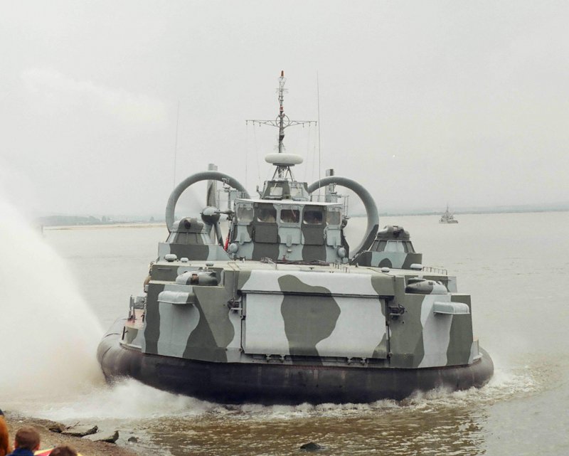 ДКВП мурена 12061м