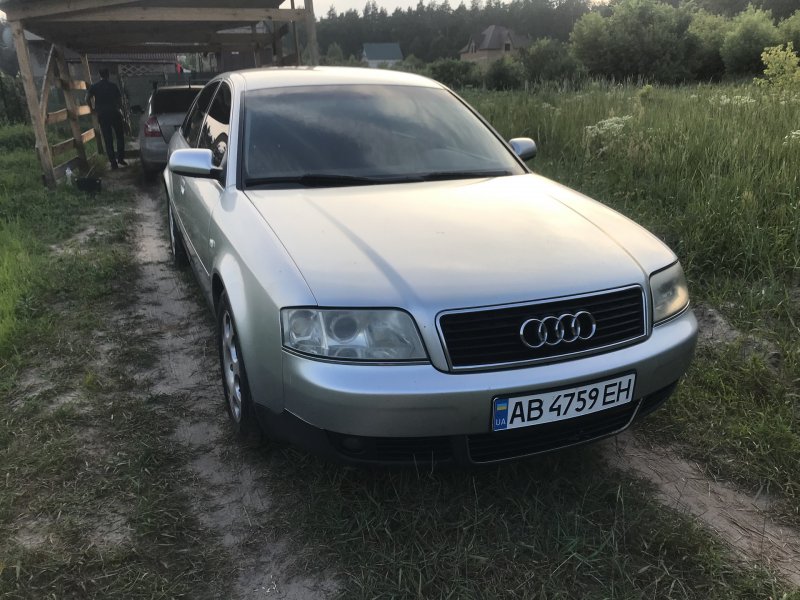 Ауди черепашка