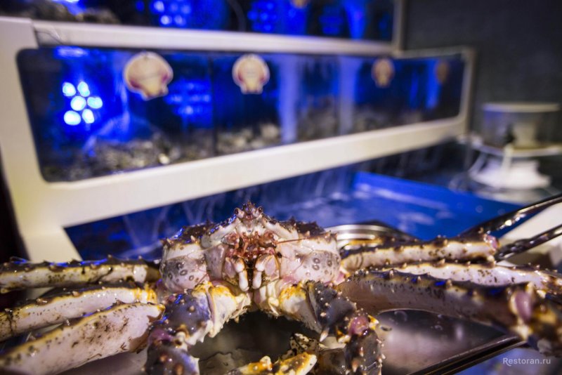 Лотте Плаза Москва ресторан