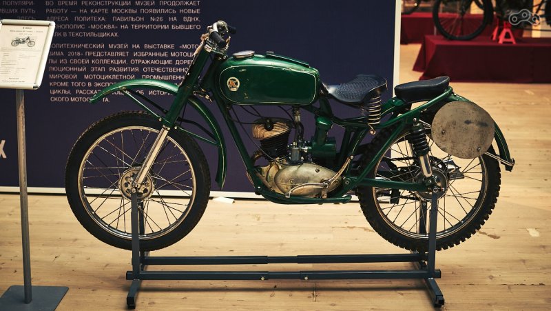 Лось байкер