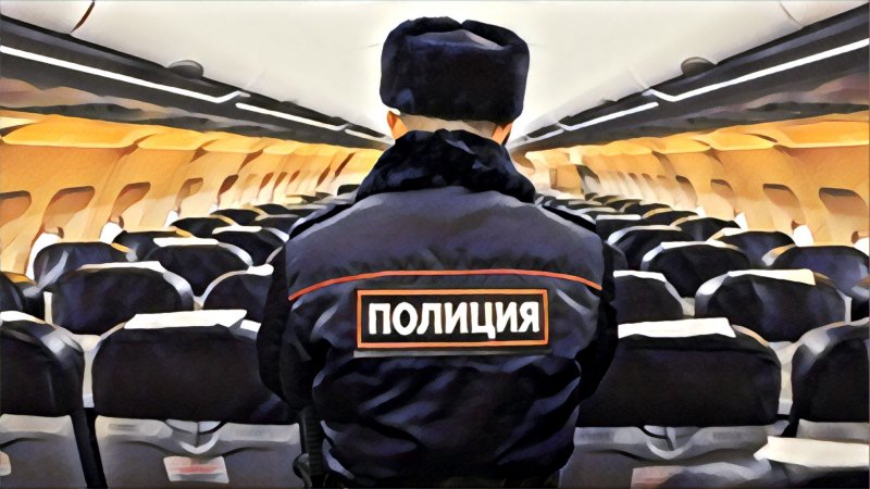 Полицейский самолет перевозчика