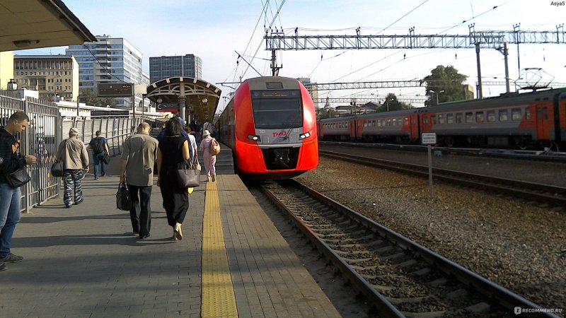 Поезд Стриж Курский вокзал