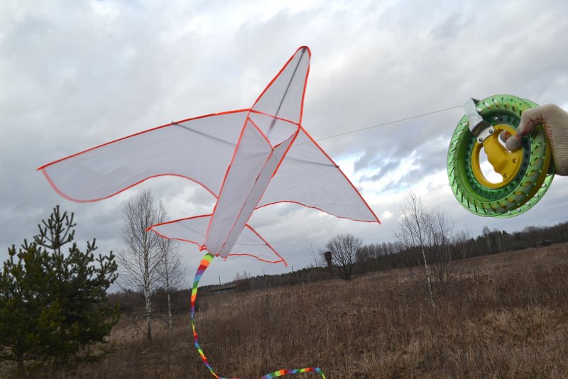 Большой воздушный змей