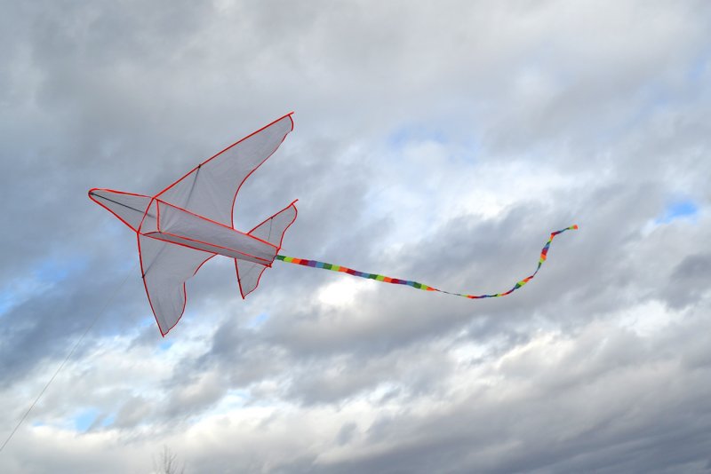 Воздушный змей первый летательный аппарат