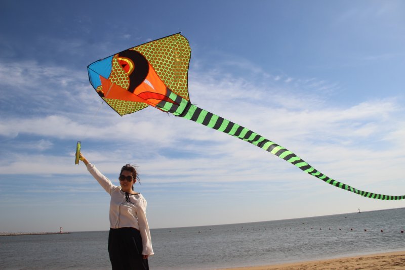 Проектировка воздушных змеев