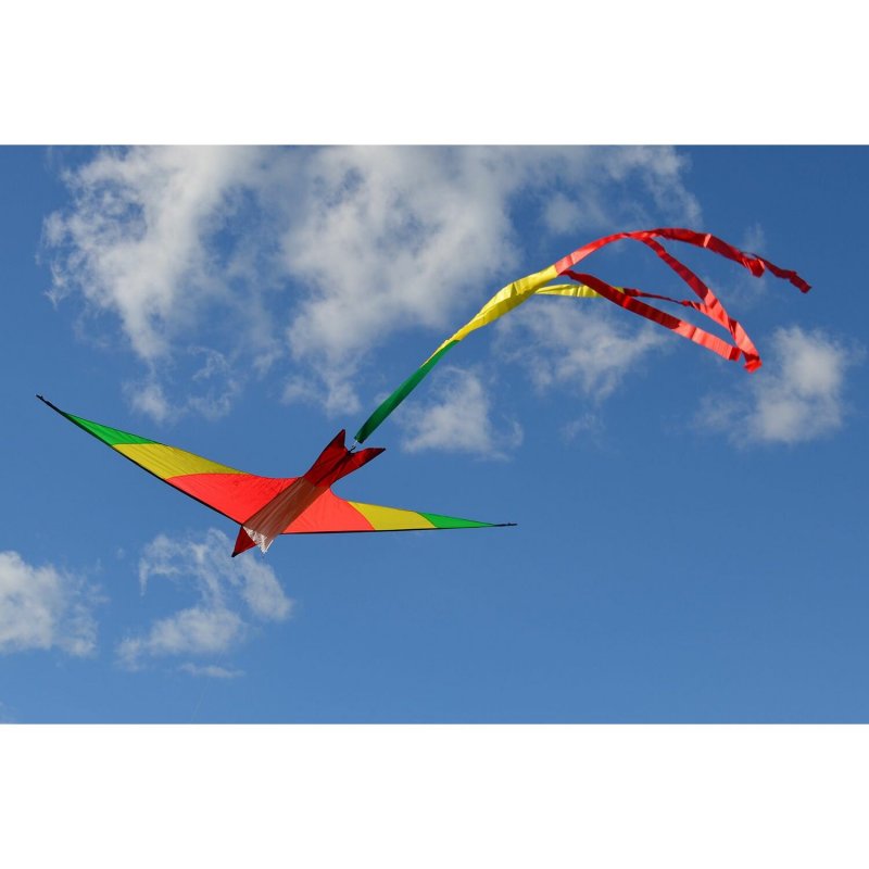 Спортивный воздушный змей