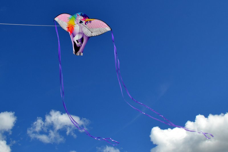 Воздушный змей попугай