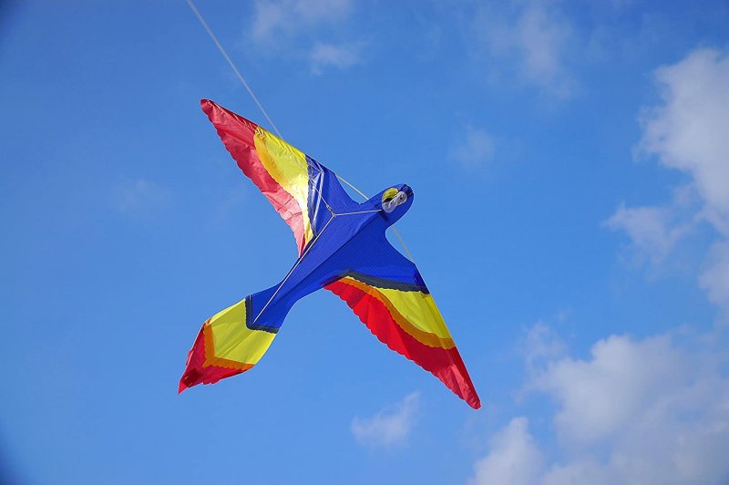 Красивые воздушные змеи