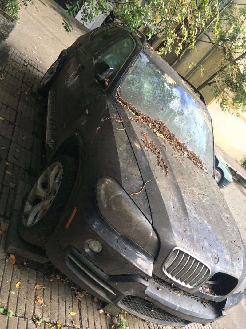 Mercedes s500 long w221