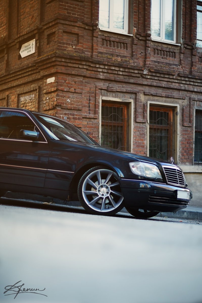 Мерин во дворе