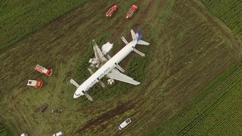 А321 Уральские авиалинии кукурузное поле