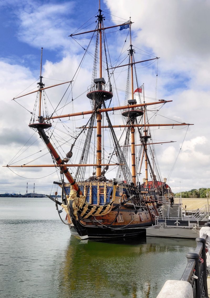 Гото Предестинация Петр 1