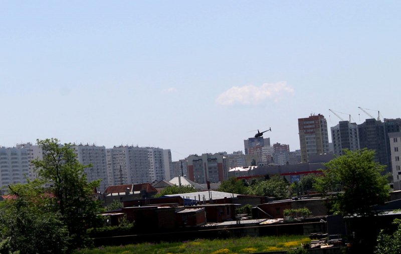 В парк Галицкого Галицкого Краснодаре с собакой