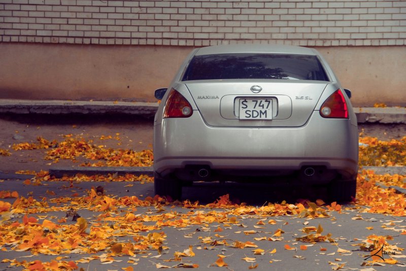 Максима 34 кузов