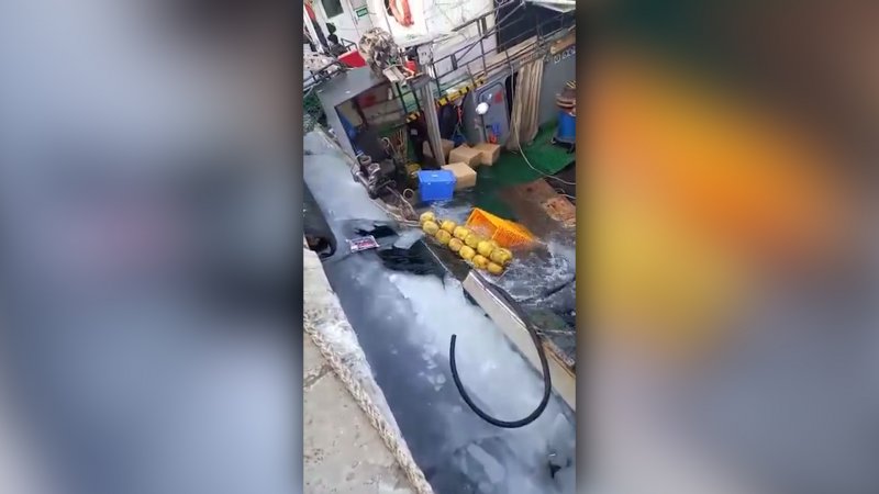 Затонувший корабль Нептун Куба