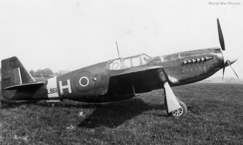 РАФ-1 самолет