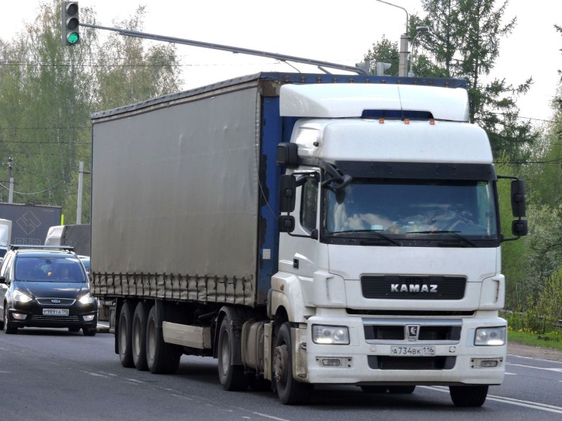 КАМАЗ 5490 Нео 2