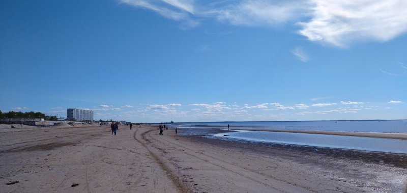 Розовый остров Ягры