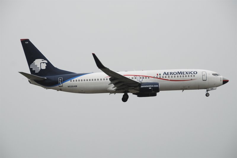 Боинг 737-800 Вингл