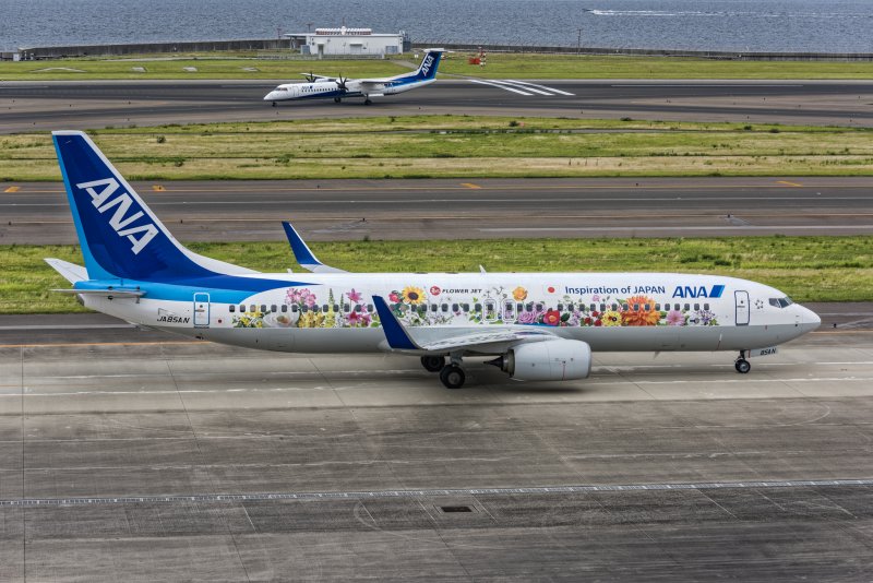Boeing 737-800 Ana Flower Jet