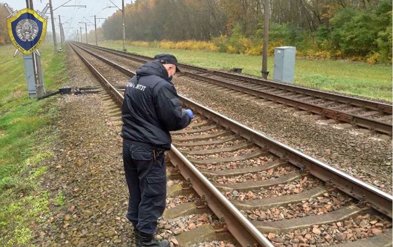 Смотрит в окно поезда