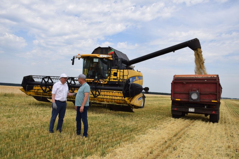 Уборочная техника в поле