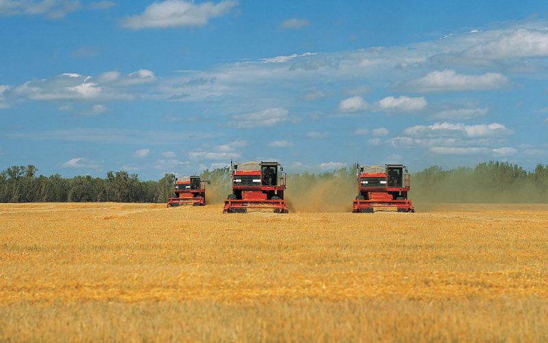 Комбайн для сбора пшеницы