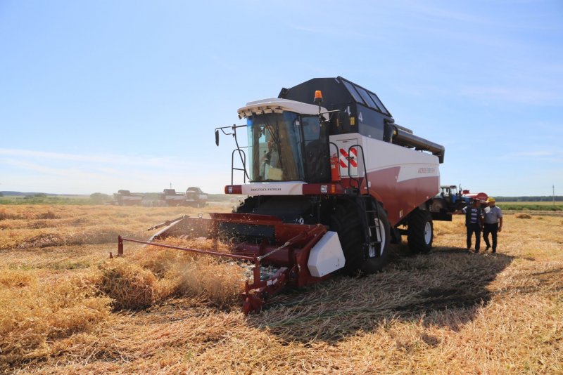 Комбайн уборка