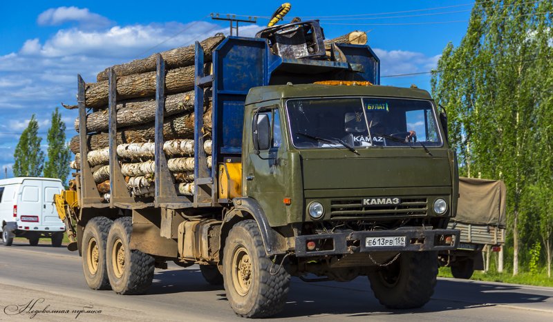 КАМАЗ 65115-а5