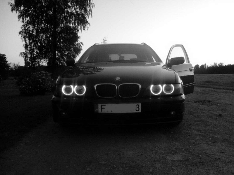 BMW e53 ангельские глазки