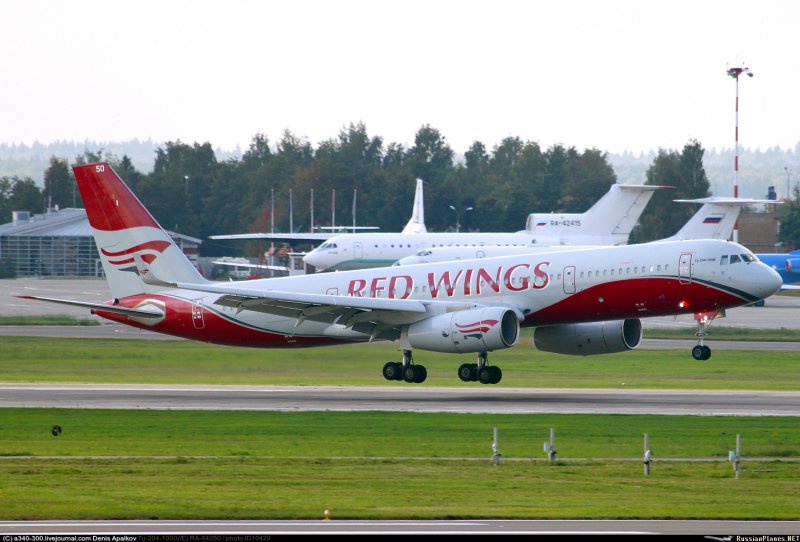 Red Wings wz704
