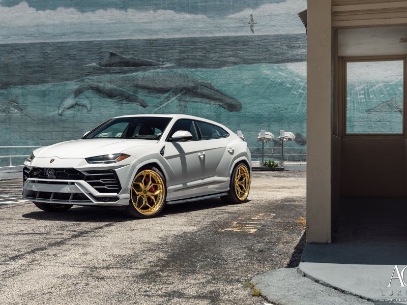 Lamborghini Urus 4k City