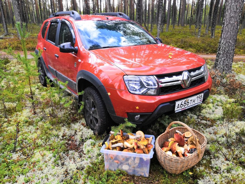 Renault Duster 2021 оранжевый