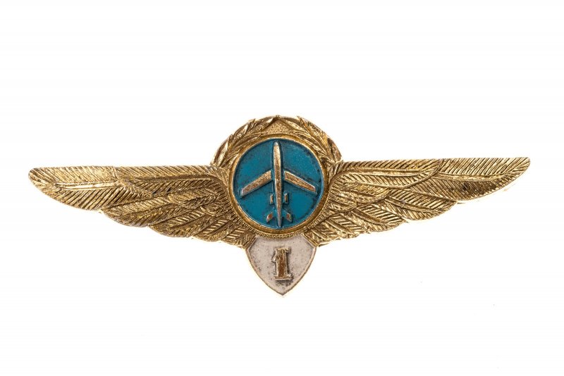 Нагрудный знак пилота гражданской авиации России
