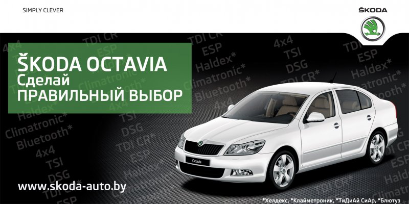 Шкода Рапид фронт ассист фото