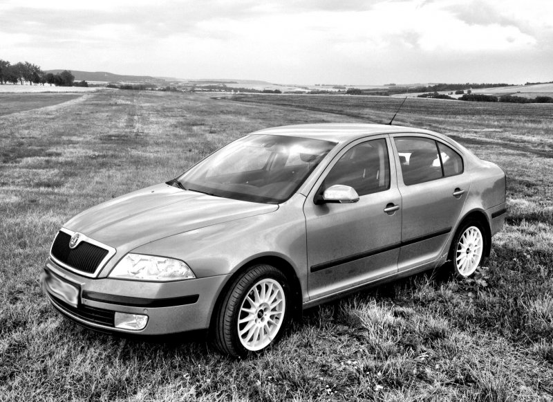 Skoda Octavia 1z3