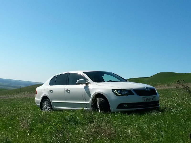 Шкода Суперб белая