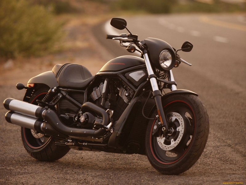 Harley Davidson VRSCDX