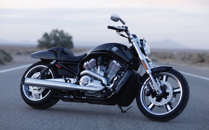Харлей Дэвидсон мотоциклы v-Rod
